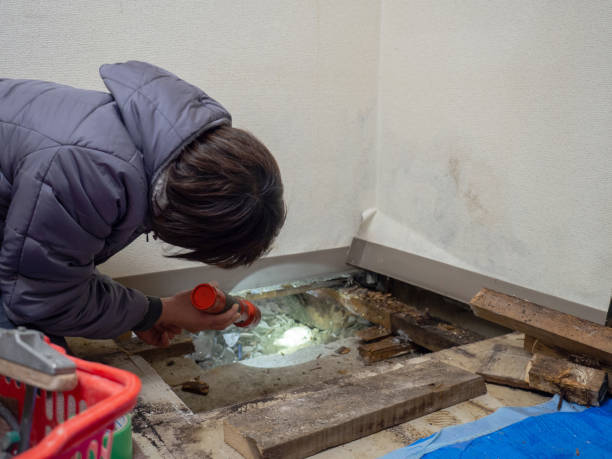 Best Air Quality Testing for Mold Spores  in Garrison, MD