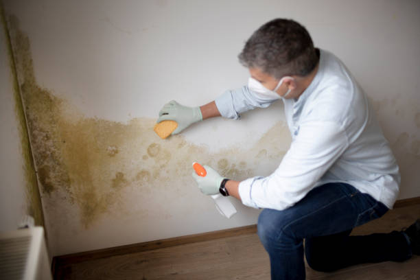 Best Indoor Air Quality Assessment  in Garrison, MD