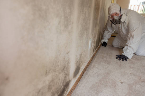 Best Water Damage & Mold Remediation  in Garrison, MD
